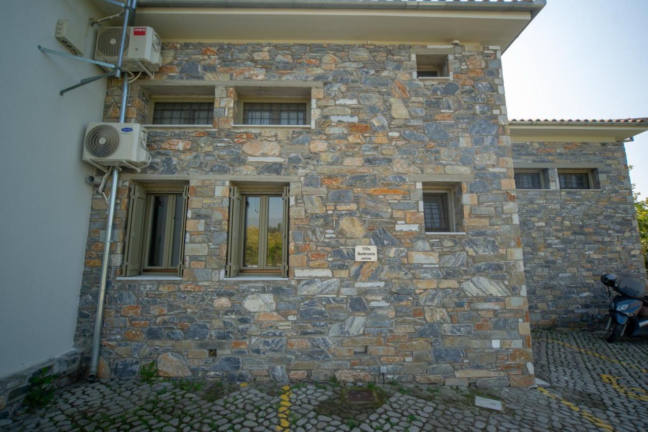 Villa Ambrosia, Beach House, Platanidia, Pelion Extérieur photo